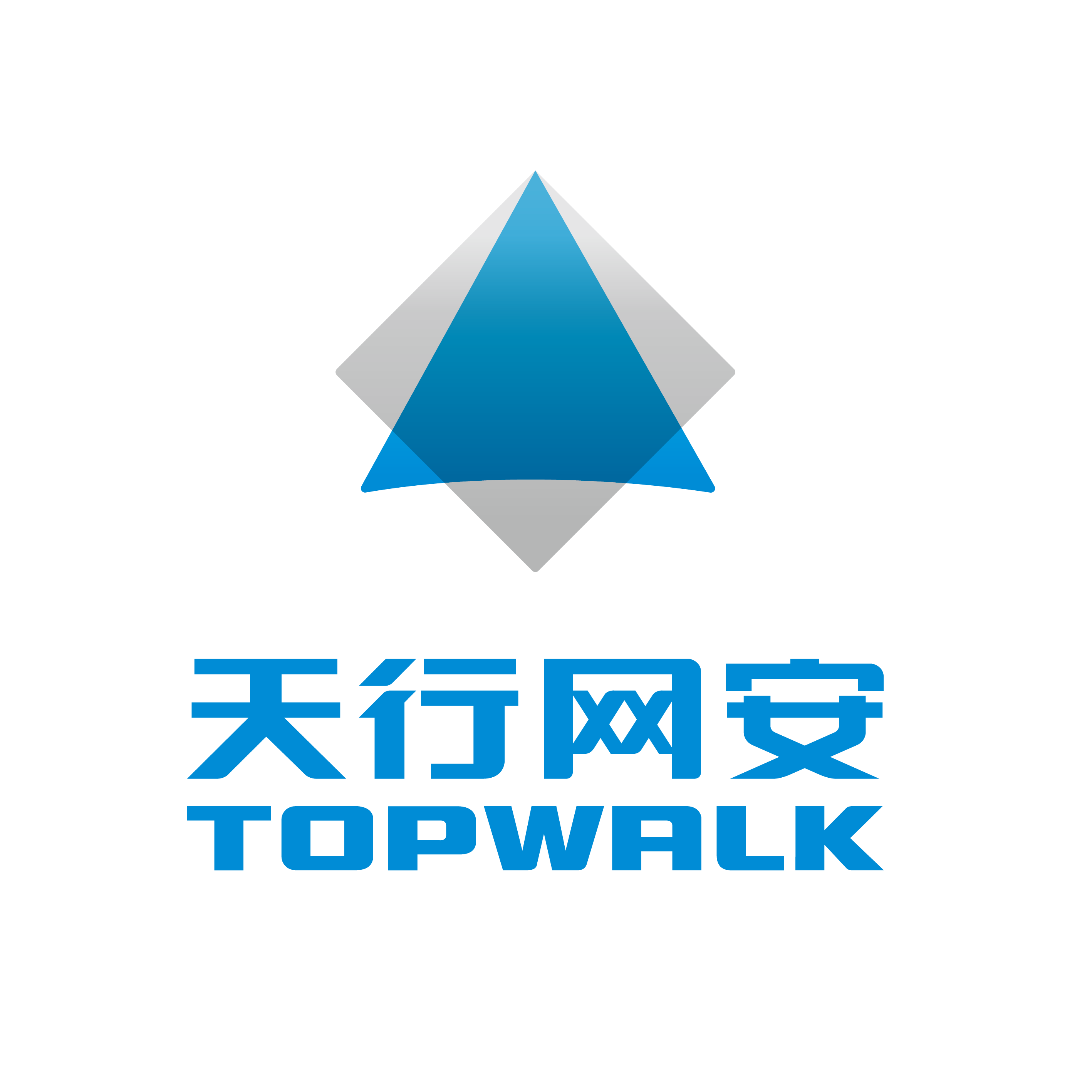 拓尔思天行网安信息技术有限责任公司