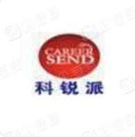 上海科之锐人才咨询有限公司