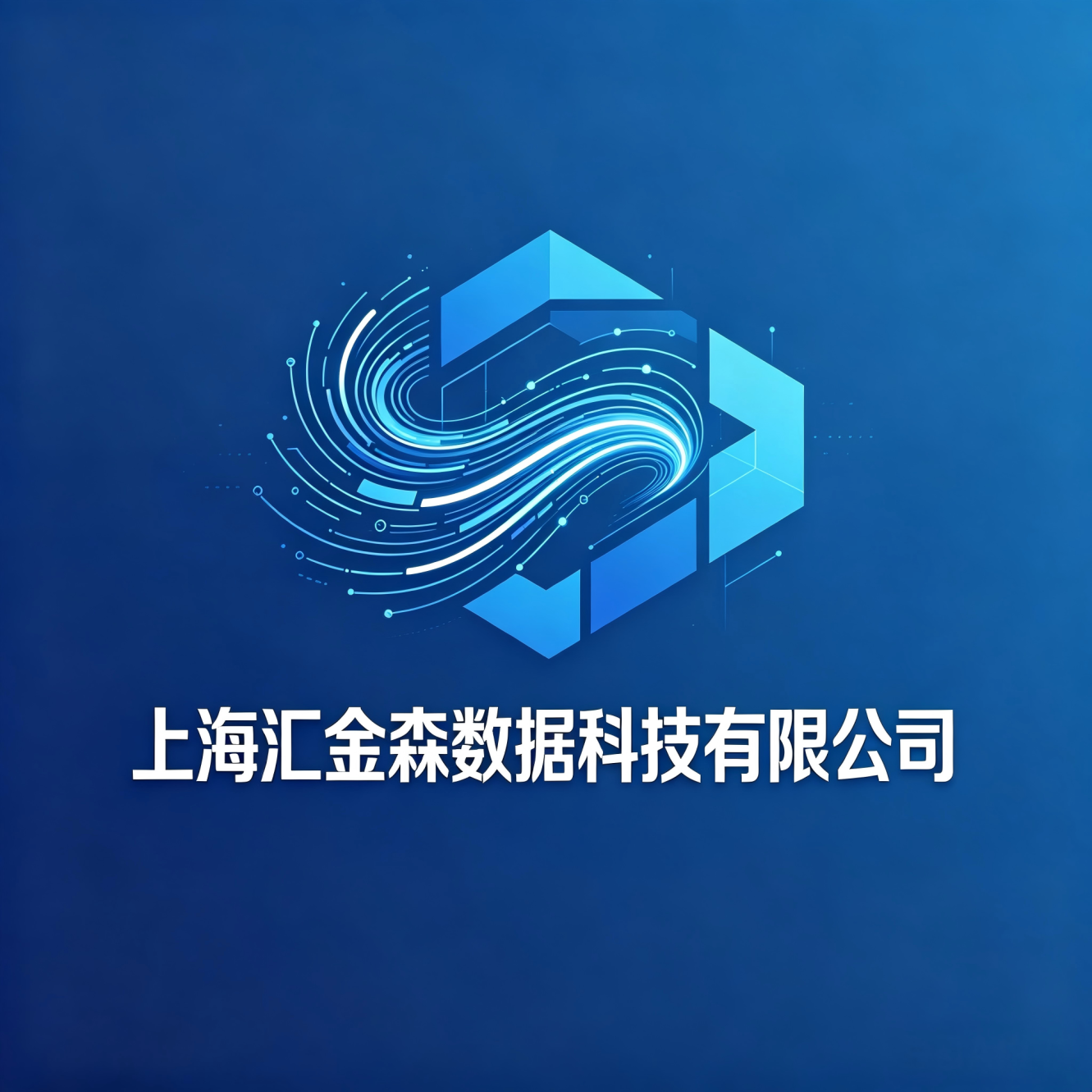 上海汇金森数据科技有限公司