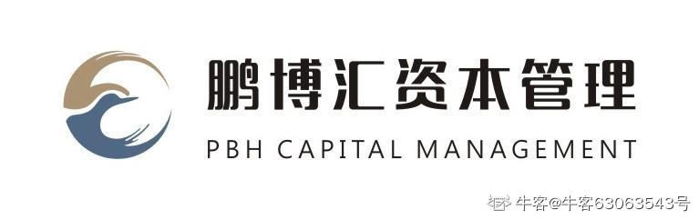 深圳市鹏博汇资本管理有限公司