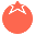 中检南方