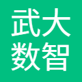 武大数智教育(武汉)有限公司