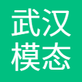 武汉模态跃迁科技有限公司