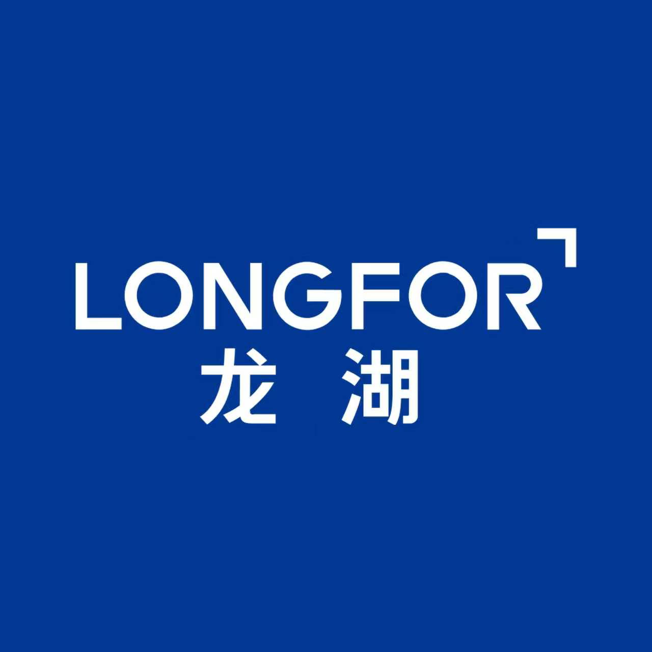 龙智数科