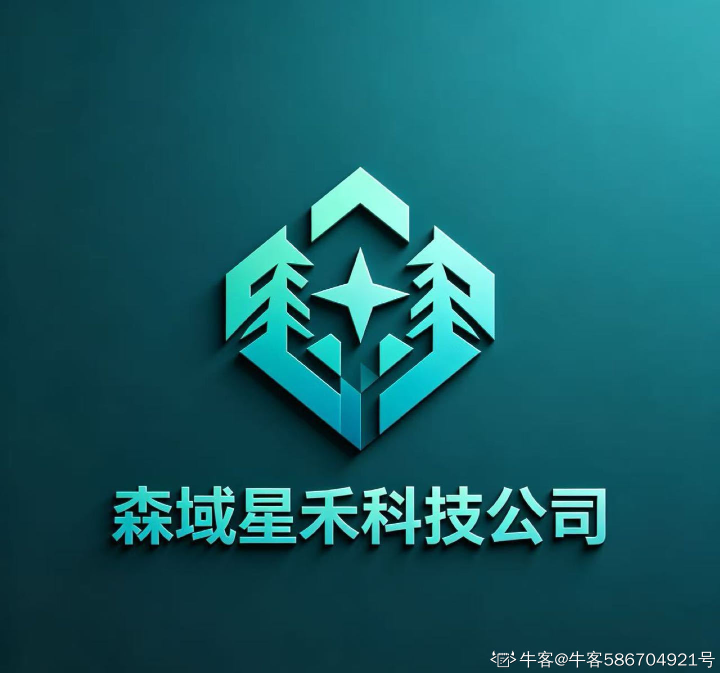 成都森域星禾科技有限公司