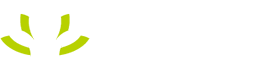 绿芽基金会