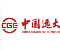 中国远大集团有限责任公司